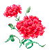 carnation34.gif (932 bytes)