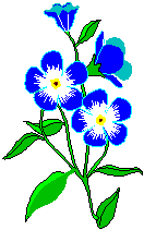 forgetme.gif (2725 bytes)